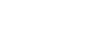 Q-SYS